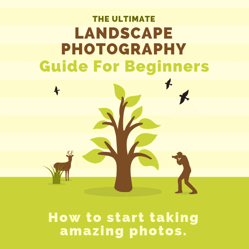 The Ultimate Landscape Photography Guide For Beginners - 